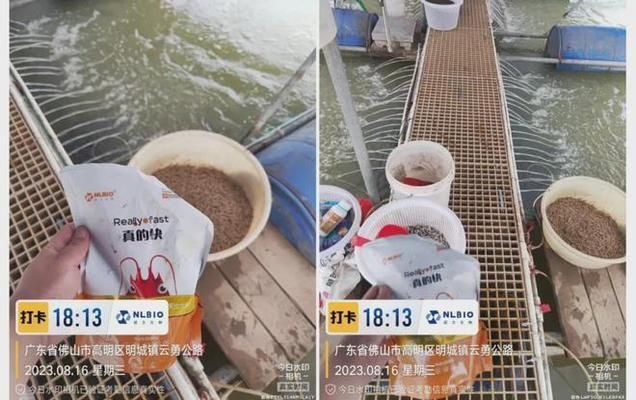 赤焰中國虎魚養殖成本變化，赤焰中國虎魚養殖成本變化是一個值得關注的話題