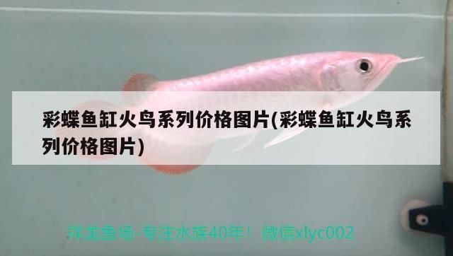 印尼龍魚場(chǎng)視頻播放(印尼紅龍魚場(chǎng)有哪些)