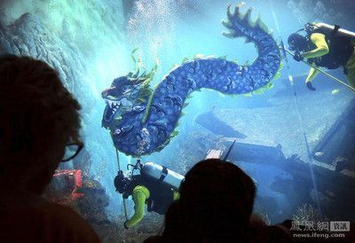 開個(gè)水族館前景怎么樣啊（開一家水族館前景如何） 開個(gè)水族館前景怎么樣啊（開一家水族館前景如何） 水族館百科（水族館加盟） 第6張