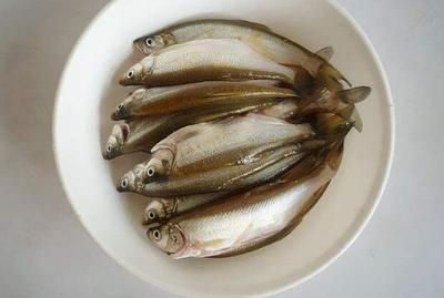 白條魚（白條魚是一種常見的淡水魚類，別名白鰷、白鰷、尖嘴子等）