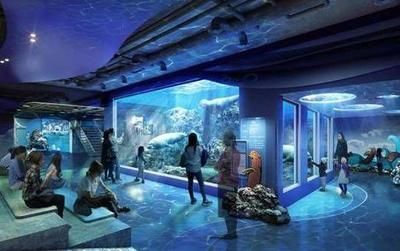 水族館怎么走(上海水族館怎么走詳情) 水族館百科(水族館加盟) 第2張 水族館怎么走(上海水族館怎么走詳情) 水族館怎么走(上海水族館怎么走詳情) 水族館百科(水族館加盟) 第2張