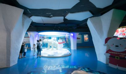 水族館怎么走(上海水族館怎么走詳情) 水族館百科(水族館加盟) 第5張 水族館怎么走(上海水族館怎么走詳情) 水族館怎么走(上海水族館怎么走詳情) 水族館百科(水族館加盟) 第5張