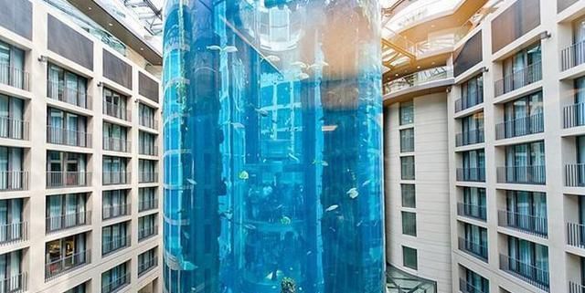 中國最好水族館的排行（大連老虎灘極地海洋館是中國首都的標志性海洋公園之一）