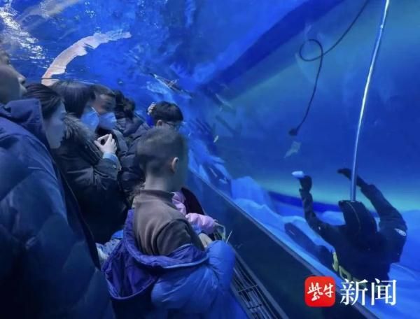 水族館工作人員有什么工作（水族館工作人員的主要職責包括維護和照顧各種海洋生物）