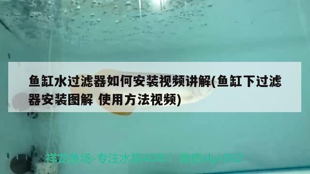 魚缸水過濾器如何安裝視頻講解(魚缸下過濾器安裝圖解使用方法視頻)