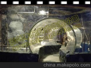 水族館什么牌子好（水族館品牌創新技術展示水族館品牌創新技術展示）