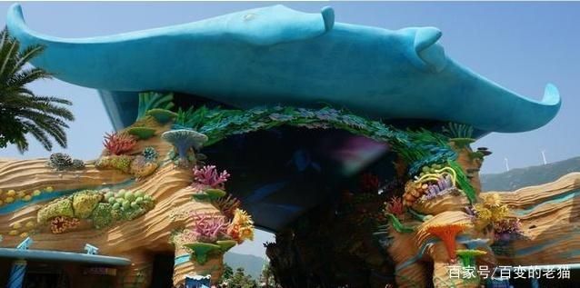 水族館簡(jiǎn)介（水族館是一個(gè)展示，海洋生物多樣性的地方） 水族館簡(jiǎn)介（水族館是一個(gè)展示，海洋生物多樣性的地方） 水族館百科（水族館加盟） 第6張