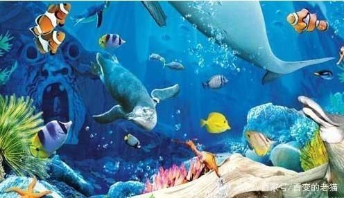 水族館簡(jiǎn)介（水族館是一個(gè)展示，海洋生物多樣性的地方） 水族館簡(jiǎn)介（水族館是一個(gè)展示，海洋生物多樣性的地方） 水族館百科（水族館加盟） 第5張