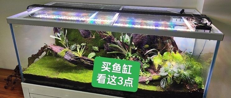 可愛麗魚缸價格表大全，可麗愛魚缸與玻璃對比水族箱內部設置詳解