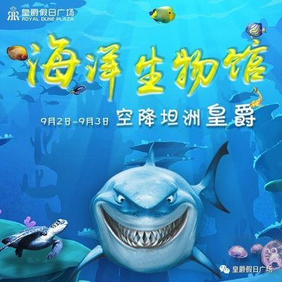 水族館開業送什么好（三湖慈鯛養殖技巧分享：水族館開業時贈送合適的禮物）