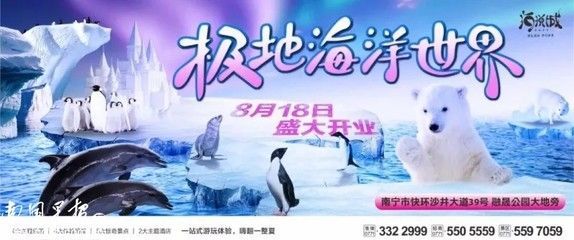 水族館開業送什么好(三湖慈鯛養殖技巧分享:水族館開業時贈送合適的禮物) 水族館百科(水族館加盟) 第4張 水族館開業送什么好(三湖慈鯛養殖技巧分享:水族館開業時贈送合適的禮物) 水族館開業送什么好(三湖慈鯛養殖技巧分享:水族館開業時贈送合適的禮物) 水族館百科(水族館加盟) 第4張