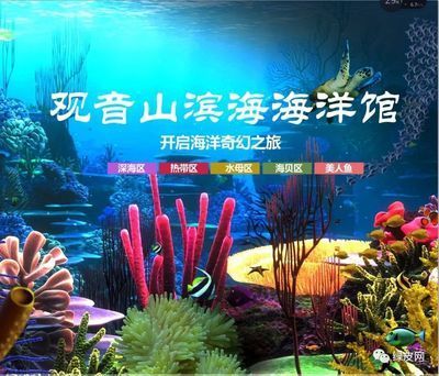 水族館開業送什么好(三湖慈鯛養殖技巧分享:水族館開業時贈送合適的禮物) 水族館百科(水族館加盟) 第6張 水族館開業送什么好(三湖慈鯛養殖技巧分享:水族館開業時贈送合適的禮物) 水族館開業送什么好(三湖慈鯛養殖技巧分享:水族館開業時贈送合適的禮物) 水族館百科(水族館加盟) 第6張