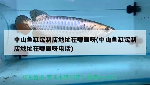 中山魚缸定制店地址在哪里呀(中山魚缸定制店地址在哪里呀電話)