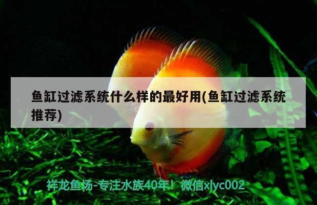 魚缸過濾系統什么樣的最好用(魚缸過濾系統推薦)