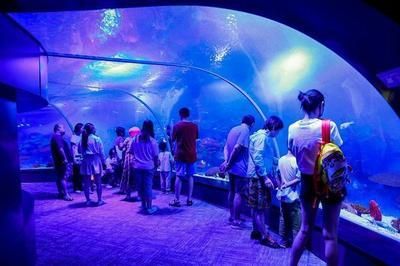 水族館的定義（水族館是一個專門用于展覽水生生態保護、教育公眾、推動科學研究的基地）