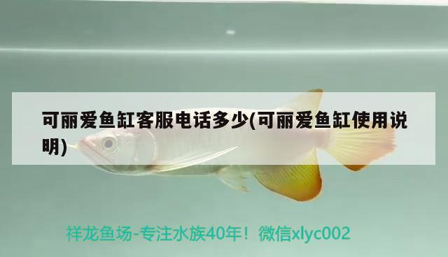 魚缸制作圖紙大全圖片(魚缸制作圖紙大全圖片簡單)