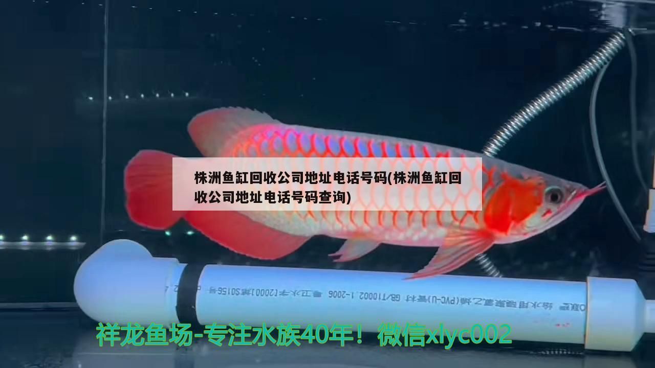 株洲魚缸回收公司地址電話號碼(株洲魚缸回收公司地址電話號碼查詢)