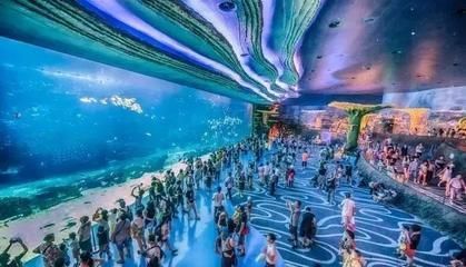 水族館需要投資多少錢呢現(xiàn)在怎么樣了（開設(shè)一個中小型水族館的初始投資大約在幾十萬元之間）
