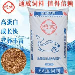 銀龍魚(yú)怎么混養(yǎng)最好(銀龍魚(yú)與什么混養(yǎng)最好)