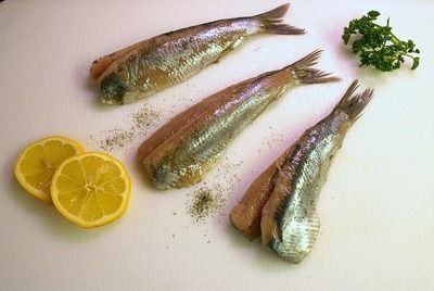 祥龍濾材在家庭水族箱的應用(祥龍濾材在家庭水族箱中的應用) 水族館百科(水族館加盟) 第3張 祥龍濾材在家庭水族箱的應用(祥龍濾材在家庭水族箱中的應用) 祥龍濾材在家庭水族箱的應用(祥龍濾材在家庭水族箱中的應用) 水族館百科(水族館加盟) 第3張