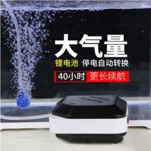 金龍魚(yú)恒溫器使用指南：如何正確維護(hù)金龍魚(yú)恒溫器