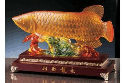 長葉榕水草好養嗎怎么養