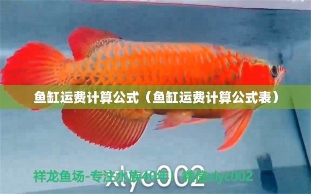 虎魚活體運輸成本解析，虎魚活體成本解析
