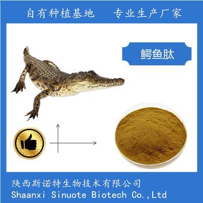虎魚活體運輸成本解析，虎魚活體成本解析