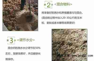 龍魚得了腸炎怎么治療好
