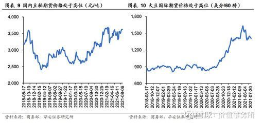 金龍魚(yú)價(jià)格上漲原因
