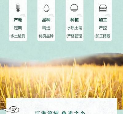 金龍魚水質檢測工具推薦：探索金龍魚水質檢測工具