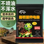 豬鼻龜市場價多少一只：豬鼻龜現在多少錢一只