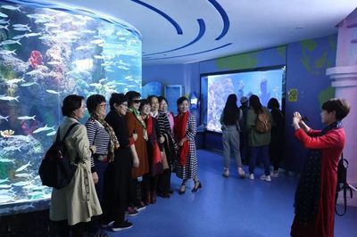 水族館投資大概多少錢一個月呢（水族館投資成本） 水族館投資大概多少錢一個月呢（水族館投資成本） 水族館百科（水族館加盟） 第4張