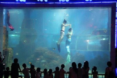 水族館投資大概多少錢一個月呢（水族館投資成本） 水族館投資大概多少錢一個月呢（水族館投資成本） 水族館百科（水族館加盟） 第6張