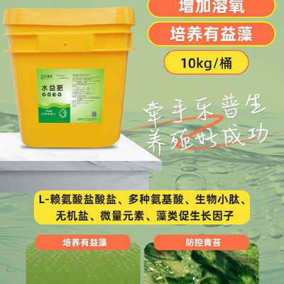 過(guò)背金龍魚(yú)什么意思啊(金龍魚(yú)古典過(guò)背和金頭過(guò)背)
