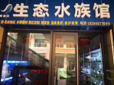 水族館店鋪照片大全（水族館店鋪照片大全東南亞風格水族館裝修特點）