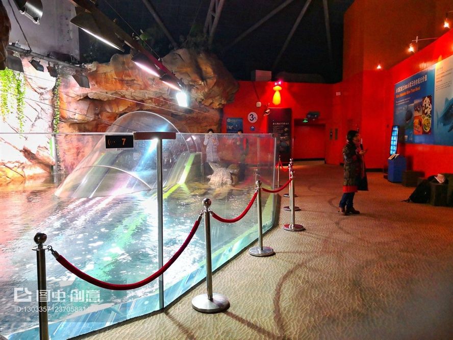 水族館里面都有什么魚（水族館中常見的魚類）