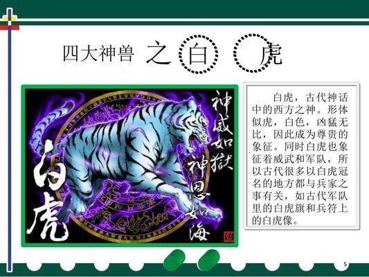 賽級大湖紅龍魚配什么魚最好：大湖紅龍魚混養注意事項