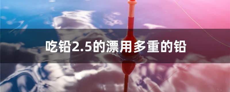 吃鉛2.5的漂用多重的鉛
