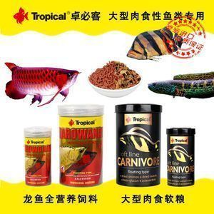蘇虎魚飼料品牌推薦，蘇虎魚專用飼料購買渠道 蘇虎魚飼料品牌推薦，蘇虎魚專用飼料購買渠道 虎魚百科 第5張