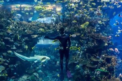 開一家水族館需要些什么證件呢視頻（開一家水族館需要些什么證件呢視頻詳情）