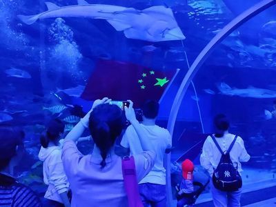 水族館收入（水族館收入來源及其對經(jīng)濟的影響）
