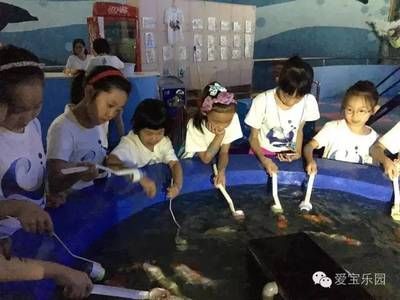 祥龍水族館手工制作課程內(nèi)容（祥龍水族館手工制作課程）