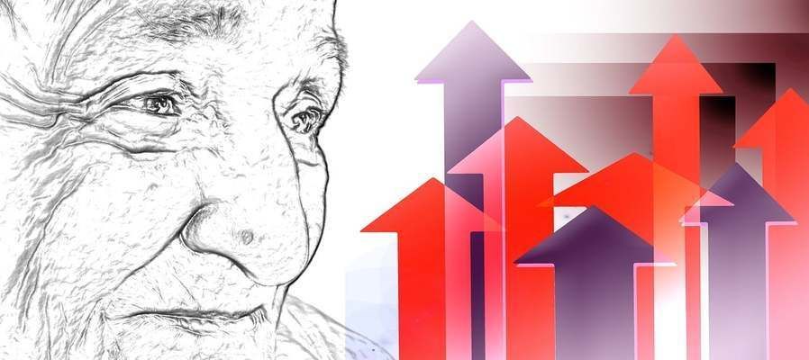 元寶鳳凰魚怎么養的好看又好養：元寶鳳凰魚如何養護元寶鳳凰魚，元寶鳳凰魚如何養護