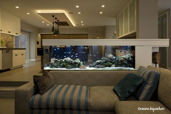 水族館生意怎么樣啊知乎（2021-2027年中國水族館行業前景展望）