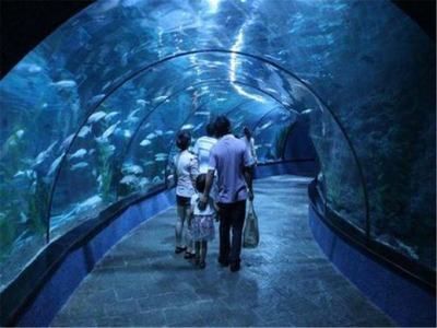 一個水族館多少錢（開設(shè)一個水族館成本的詳細(xì)解析）