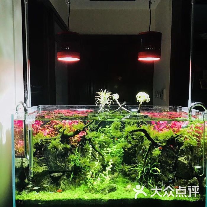 凡媽魚缸，凡媽魚缸品牌對比,魚缸風水擺放技巧