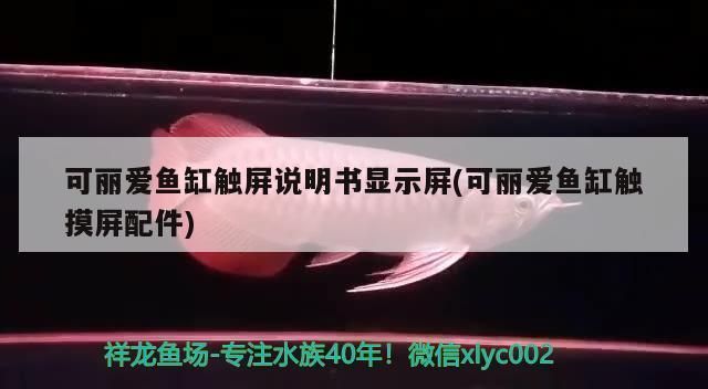 可麗愛魚缸顯示屏怎么調節,如何清潔魚缸測溫頭魚缸顯示屏亮度調整魚缸過濾器維護周期 魚缸百科 第1張 可麗愛魚缸顯示屏怎么調節,如何清潔魚缸測溫頭魚缸顯示屏亮度調整魚缸過濾器維護周期 可麗愛魚缸顯示屏怎么調節,如何清潔魚缸測溫頭魚缸顯示屏亮度調整魚缸過濾器維護周期 魚缸百科 第1張