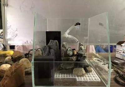 觀賞魚循環水泵需要24小時開嗎（觀賞魚的循環水泵是否需要24小時開啟）
