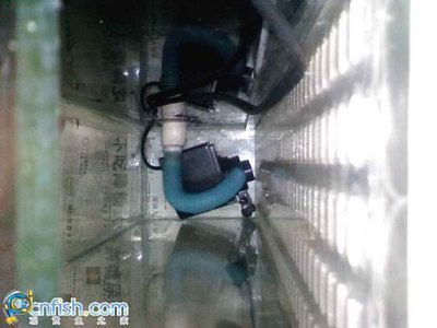 觀賞魚循環水泵需要24小時開嗎（觀賞魚的循環水泵是否需要24小時開啟）